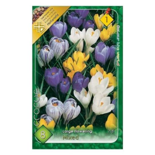 VIRÁGHAGYMA CROCUS MIXED X8 1-ES ÁCS.
