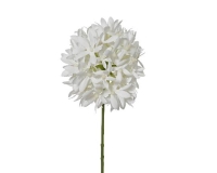 SELYEM AGAPANTHUS SZÁLAS 75CM WHITE 899711