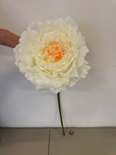 SELYEM PEONIA ÓRIÁS 