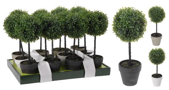 MÛVIRÁG BUXUS FA CSERÉPBEN 989800