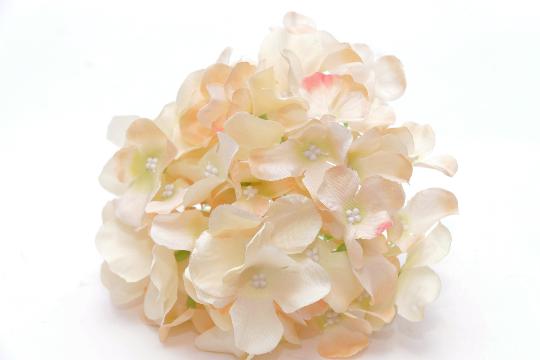 SELYEM HORTENZIA FEJ I. BARACK-LAZAC  SAL