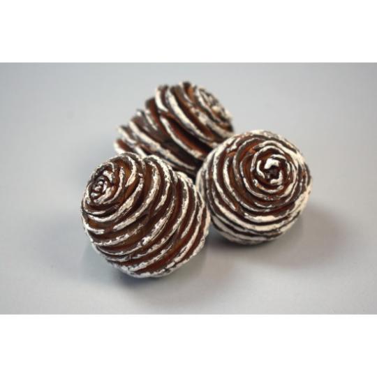 SZŐÁRAZ PLATYSPERMUM FEJ HAVAS