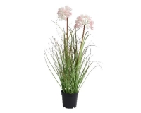 MÛVIRÁG ALLIUM CSERÉPBEN 58CM 808527