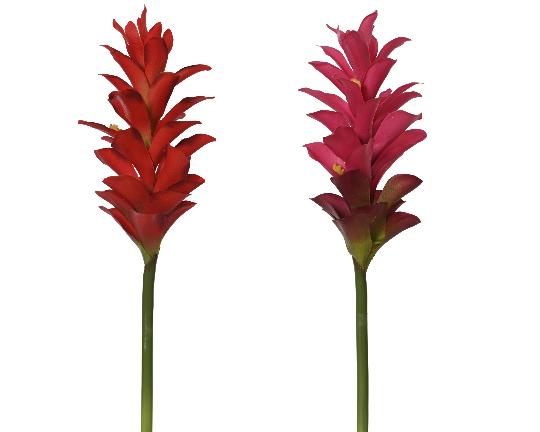 SELYEM GYÖMBÉR 75CM  899681