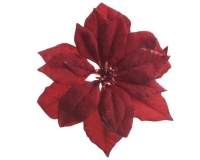 KARÁCSONYI MIKULÁSVIRÁG 24CM CSIPESZES BURGUNDY 629333