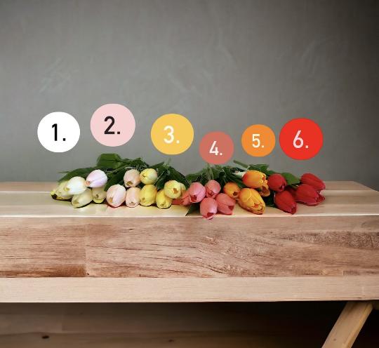 SELYEM TULIPÁN CSOKOR 24442