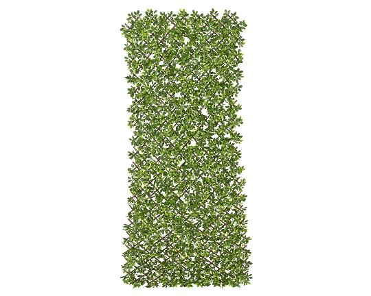 MÛVIRÁG BUXUS FAL 90X180CM 874600