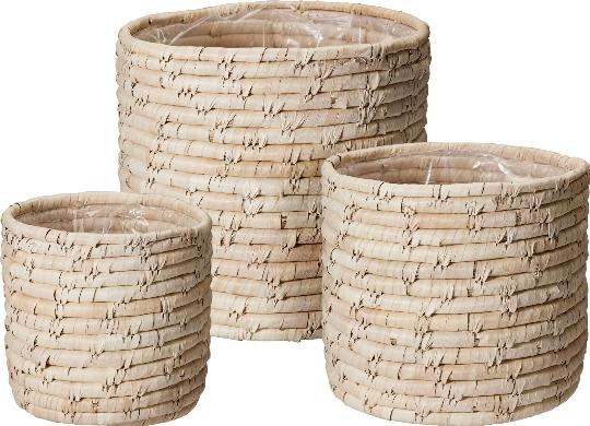 KOSÁR GYÉKÉNY 19CM I. 526567