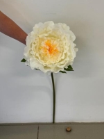 SELYEM PEONIA ÓRIÁS 