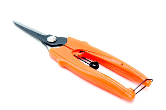 OLLO METSZŐ/SZÜRETELEŐ EGYENES PENGÉVEL