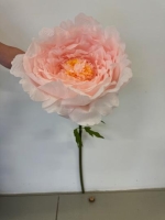 SELYEM PEONIA ÓRIÁS 