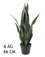 MÛVIRÁG ANYÓSNYELV CSERÉPBEN 66CM 567280