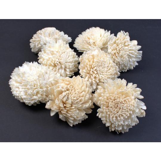 SZÁRAZ MING ŐSZIRÓZSA FEJ 8CM NATÚR