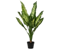 MÛVIRÁG DIEFFENBACHIA CSERÉPBEN 90CM 808439